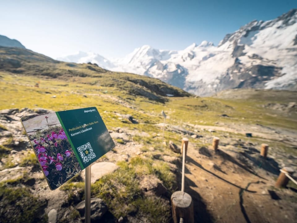 Alpingarten – Blick auf die Tafel und die Berge