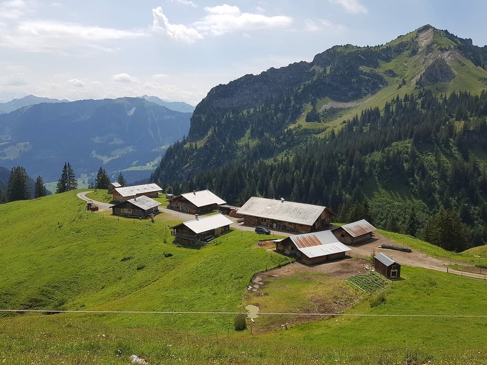 Eine Gruppe von kleinen Häusern auf einer Alp.