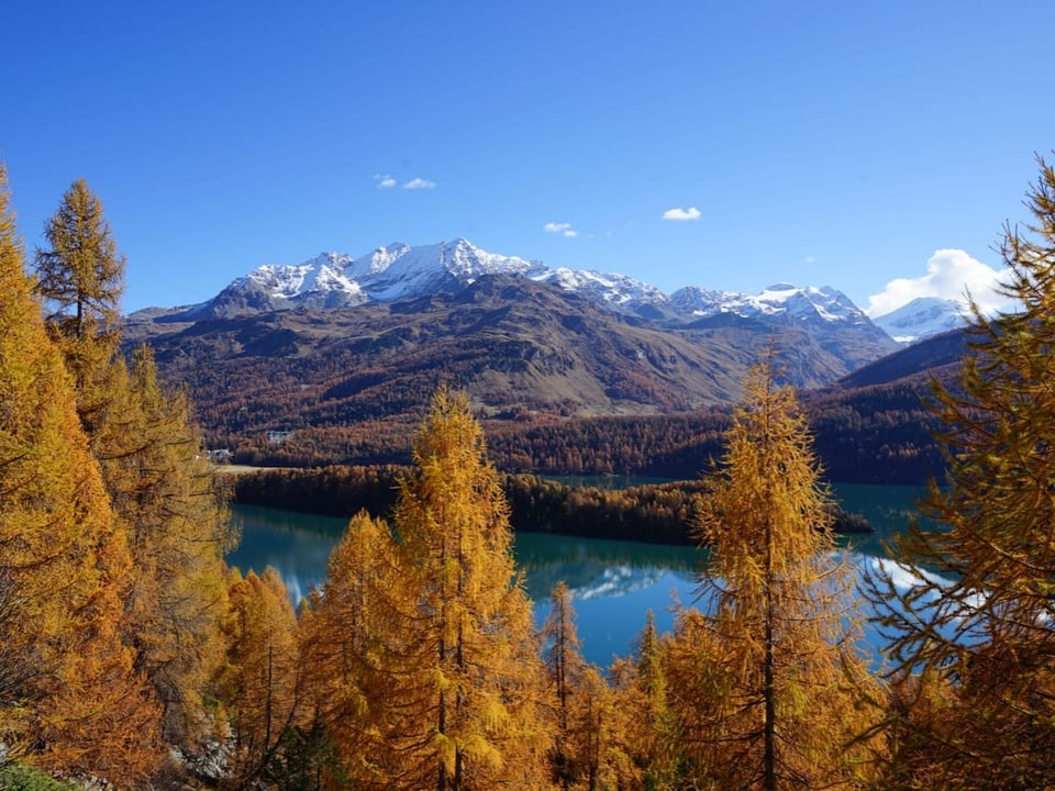 Herbstliche Landschaft mit Bergsee und schneebedeckten Bergen.