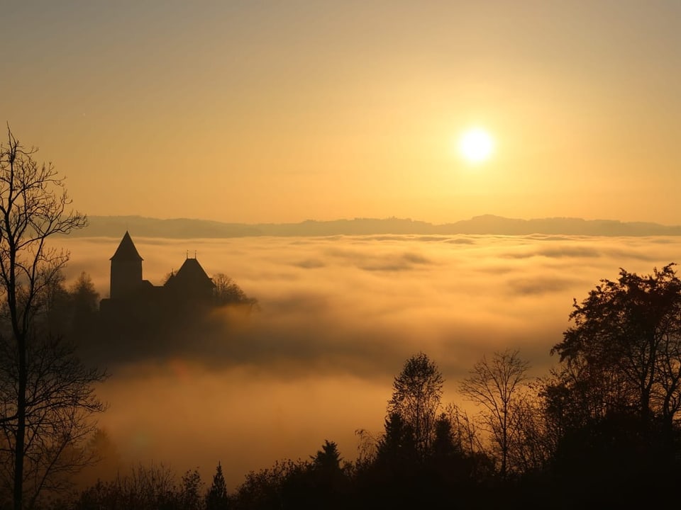 Schloss Trachselwald umhüllt von Zuckerwatte