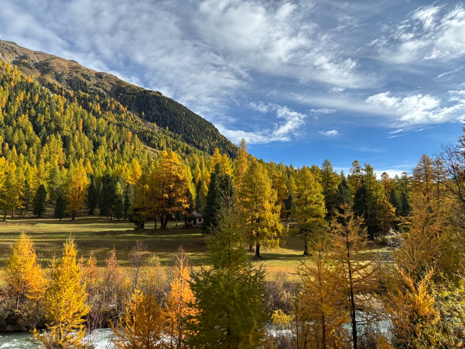 Herbstwald mit bunten Bäumen und Berg unter blauem Himmel.