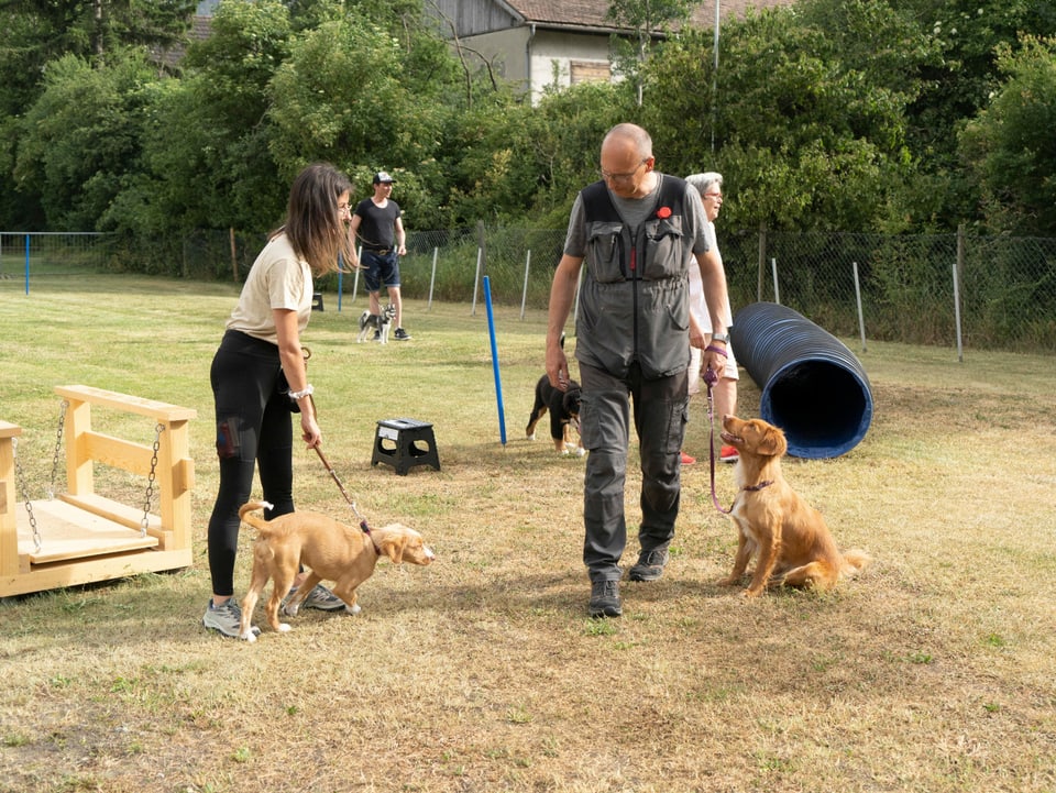 La scola da chauns "Arsina Hundesport" exista gia dapi il 2010