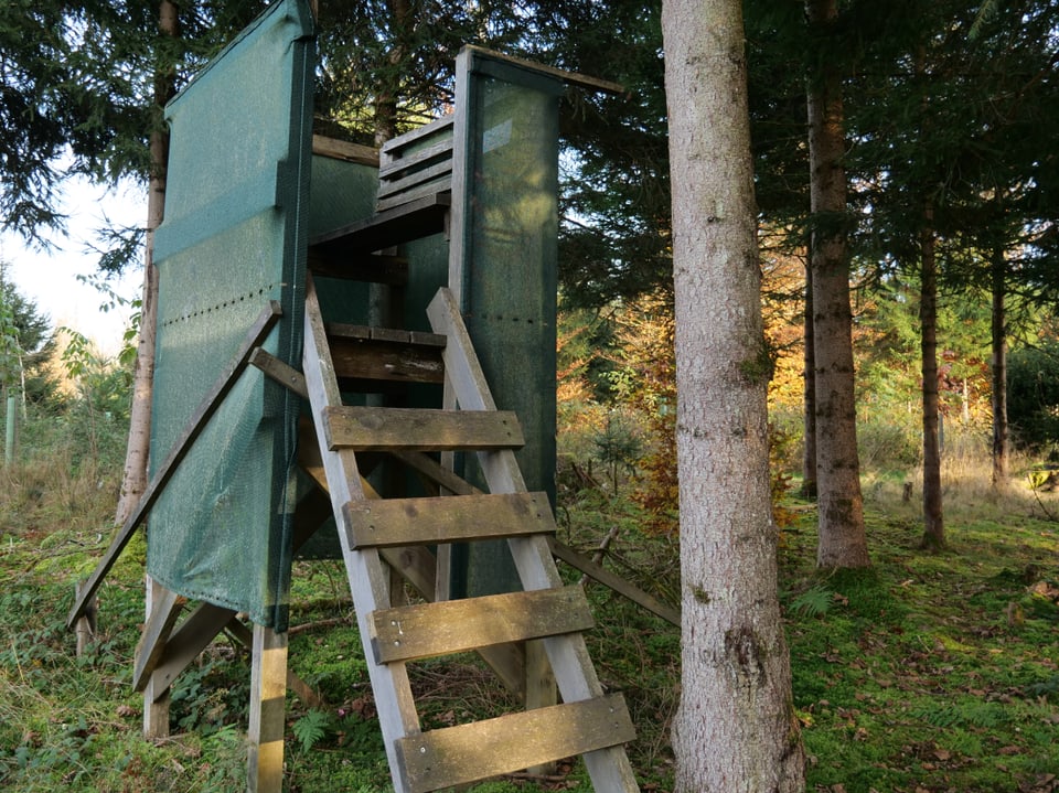 Hochsitz im Wald