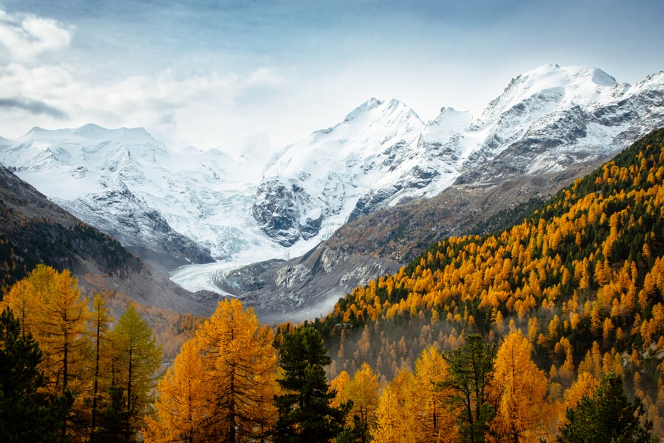 Schneebedeckte Berge mit herbstlichen Bäumen im Vordergrund.