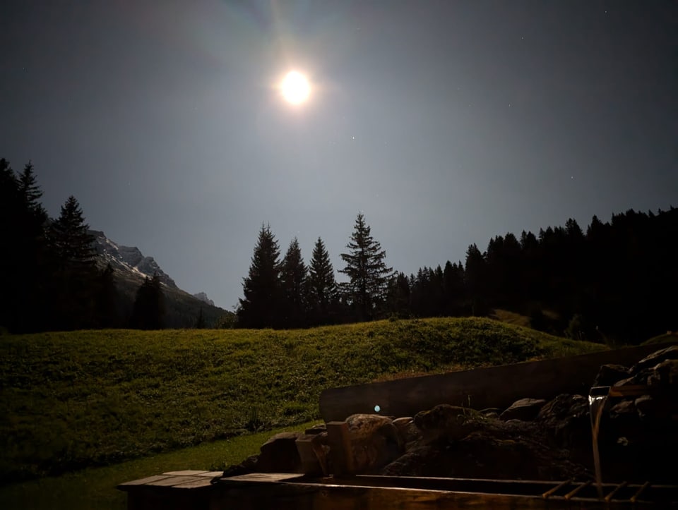 Vollmond über einer Landschaft mit Bäumen und Bergen in der Nacht.