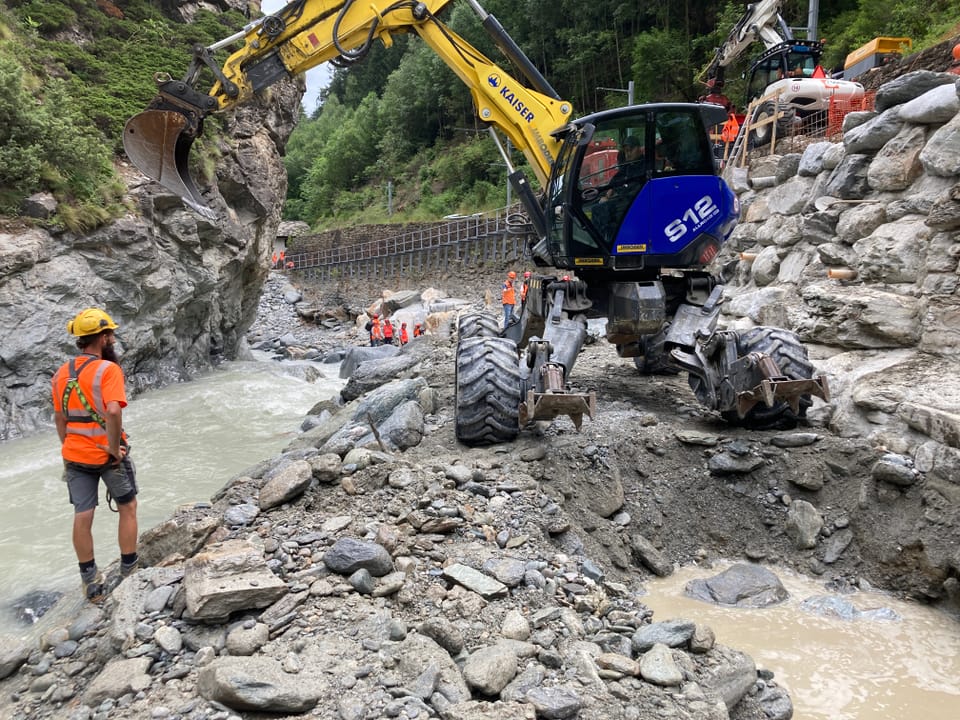 Bagger bei Vispa