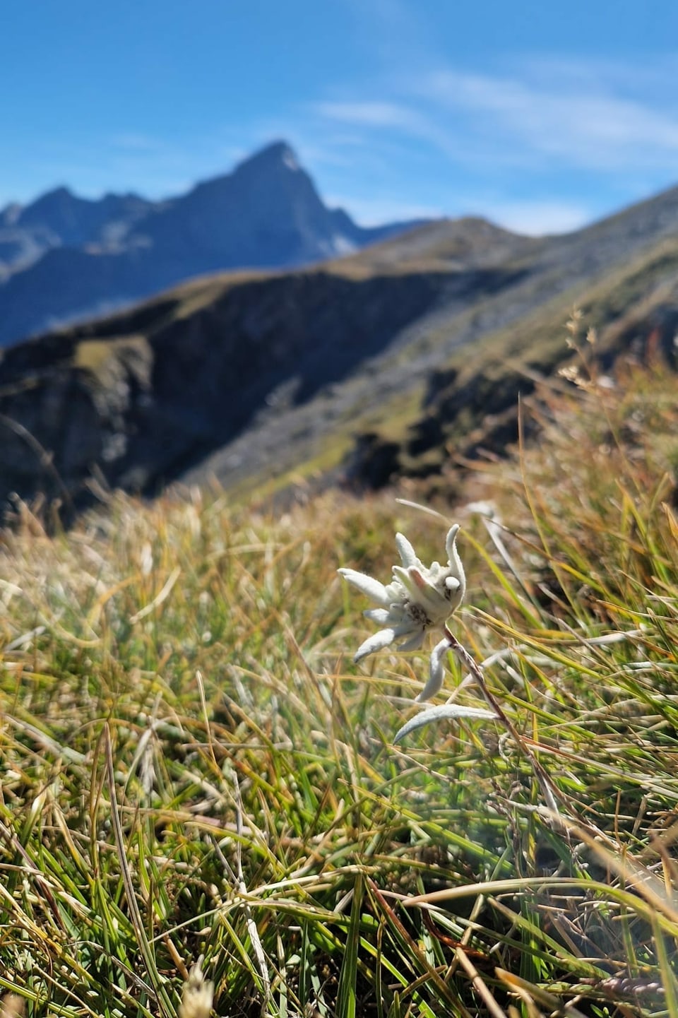 Alpen.