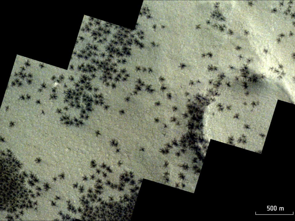 Ein Bild des Naturphänomens.  Auf der Marsoberfläche sind spinnenförmige dunkle Formen zu sehen.