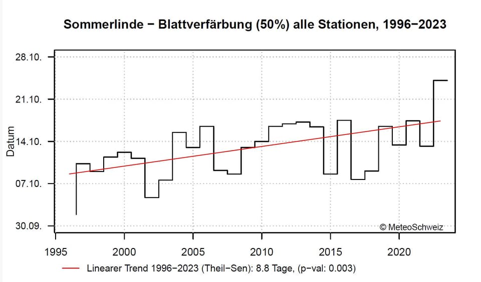 Blattverfärbung: 8,8 Tage später