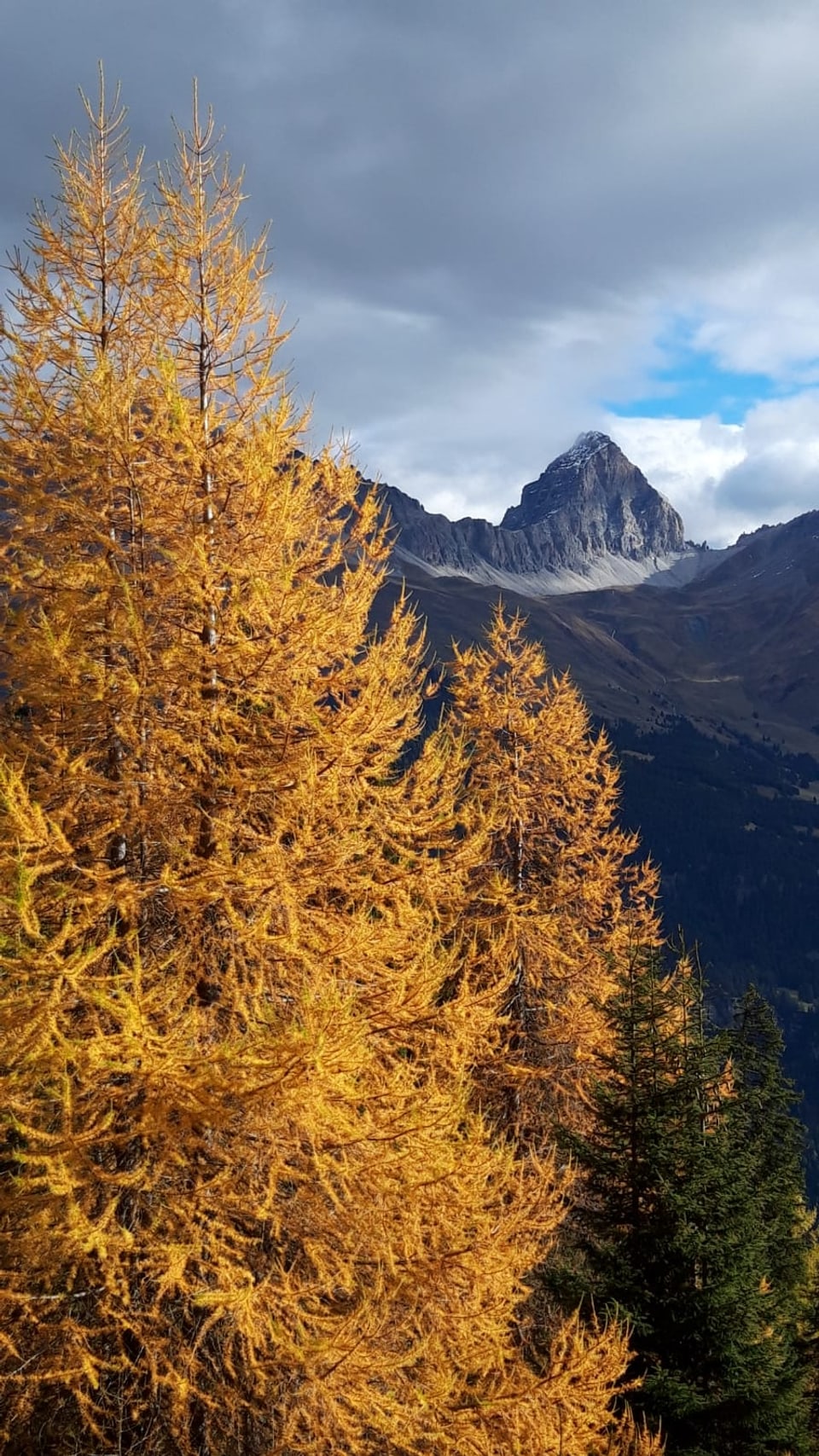 Berglandschaft mit gelbem Herbstwald und bewölktem Himmel.