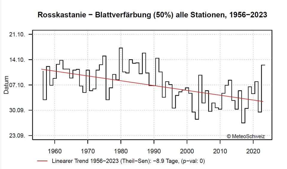 Blattverfärbung: 8,9 Tage früher