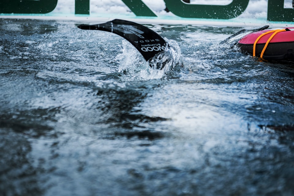 David Vencl Flosse bei Tauchgang, wasseroberfläche