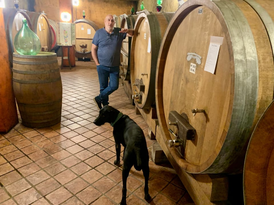 Mann und Hund in einem Weinkeller mit grossen Holzfässern.