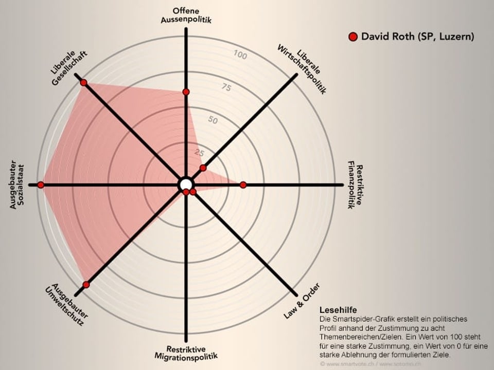 Das politische Profil von David Roth schematisch dargestellt.