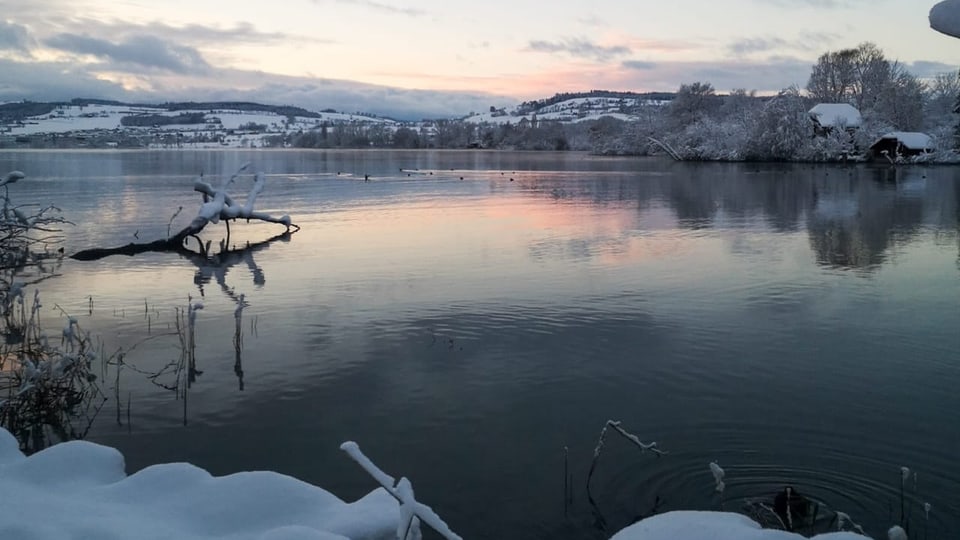 Verschneiter Seeufer im Sonnenuntergang.