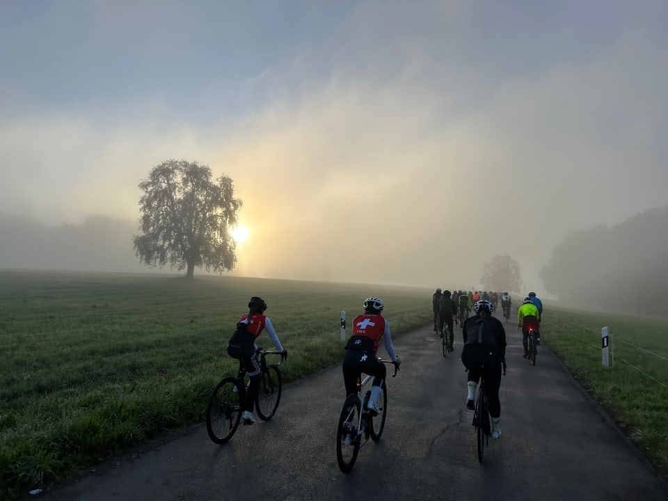 Radfahrer auf nebliger Landstrasse bei Sonnenaufgang.