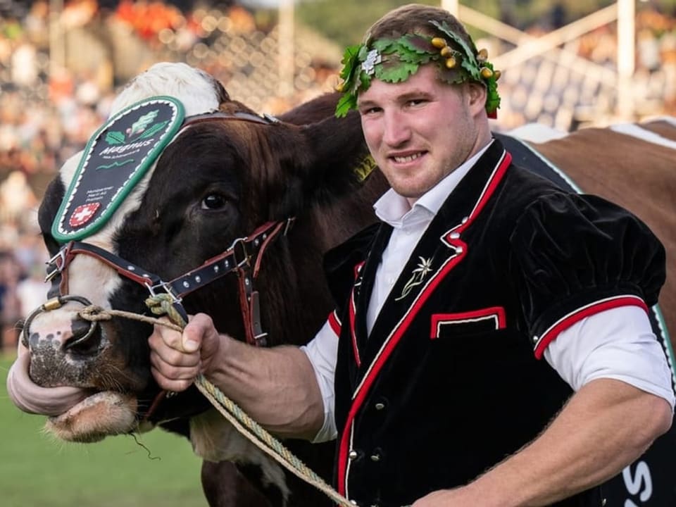 Schwingerkönig führt Stier am Halfter.