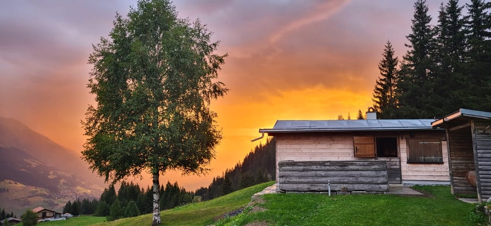 Holzhütte auf einer Wiese bei Sonnenuntergang.