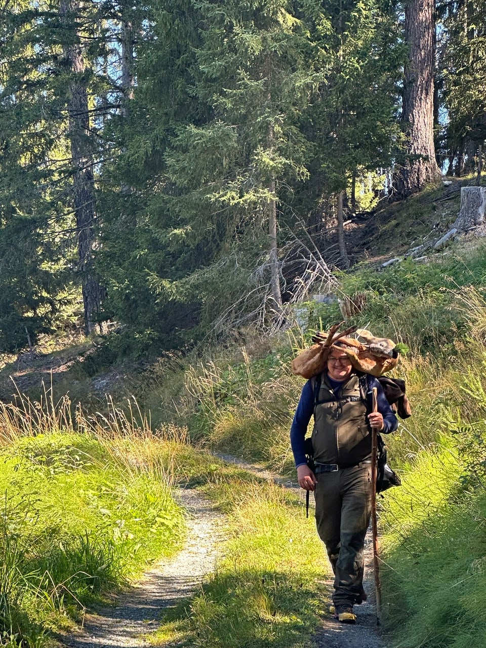 Mann mit Wanderstab trägt Brennholz auf schmalem Waldweg.