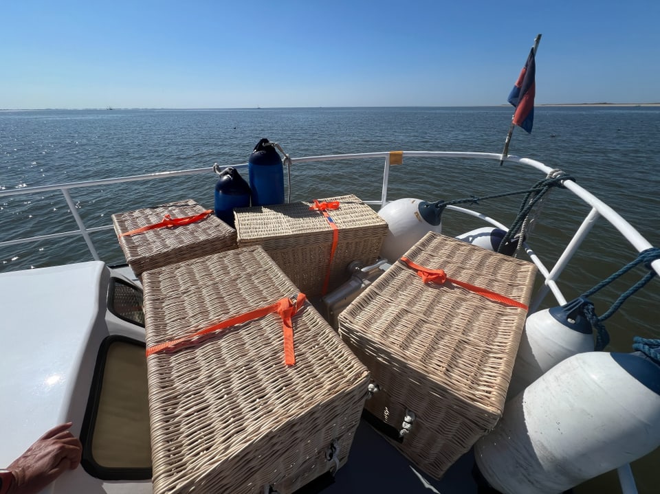 Korbkörbe mit roten Bändern auf einem Boot.