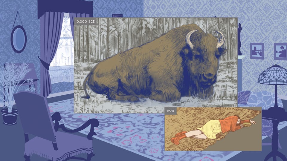 Eine bunte Zeichnung zeigt einen Bison und ein Mädchen mit Jahreszahlen versehen, liegend vor einer Wohnzimmerkulisse.