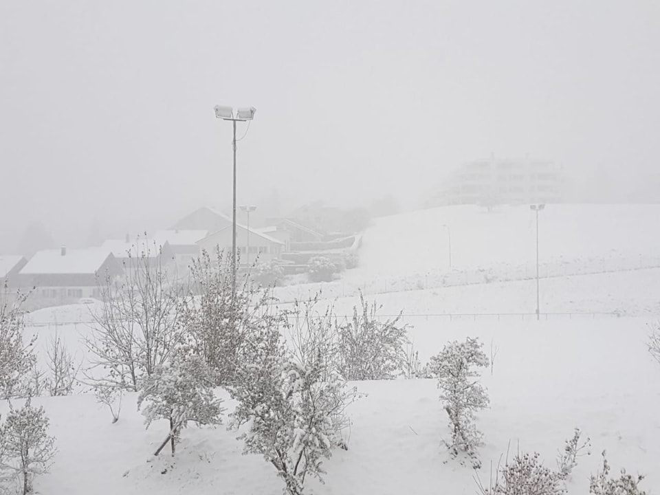 Schneebedeckte Landschaft mit Häusern und Bäumen im Nebel.