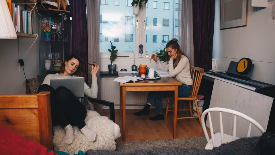 Zwei junge Frauen arbeiten nebeneinander im Wohnzimmer.