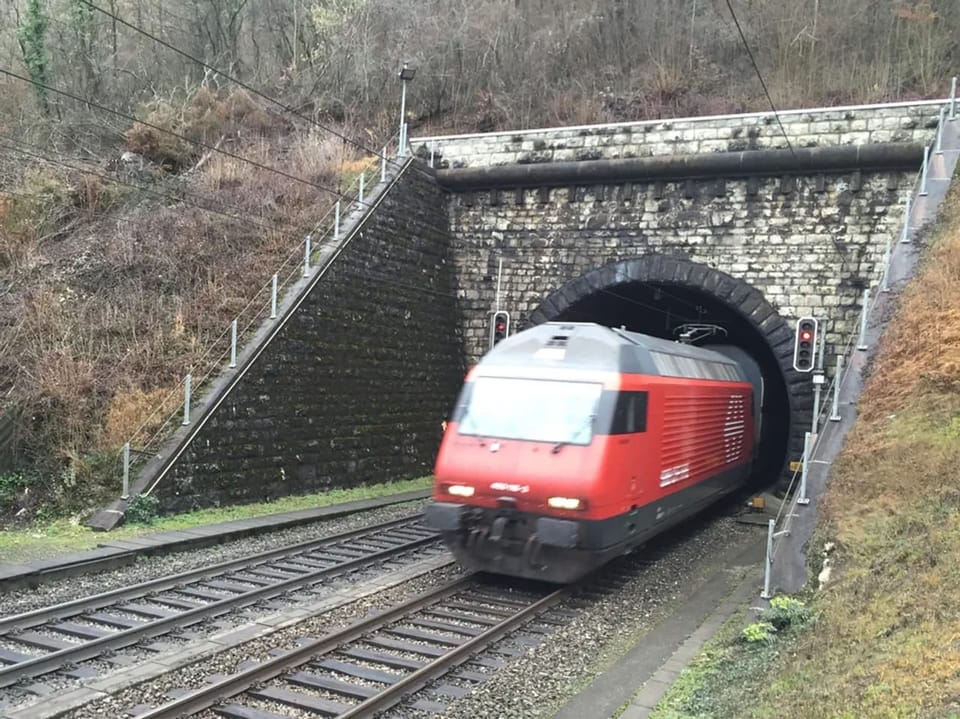 Zug fährt aus Tunnel