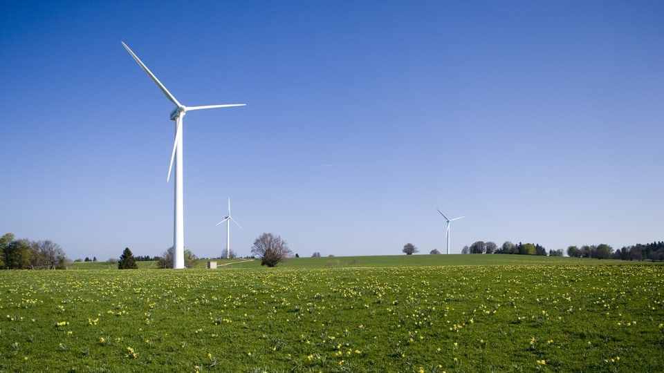 Windkraftanlagen auf grünem Feld unter blauem Himmel.