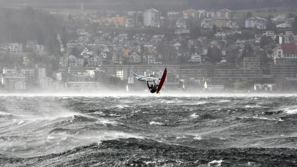 Windsurfer auf dem Zürichsee, Ufer im Hintergrund