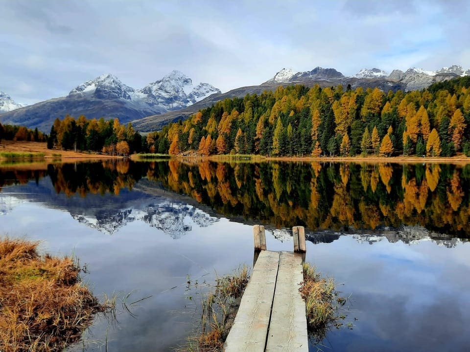 Steg am See mit herbstlichem Wald und schneebedeckten Bergen.