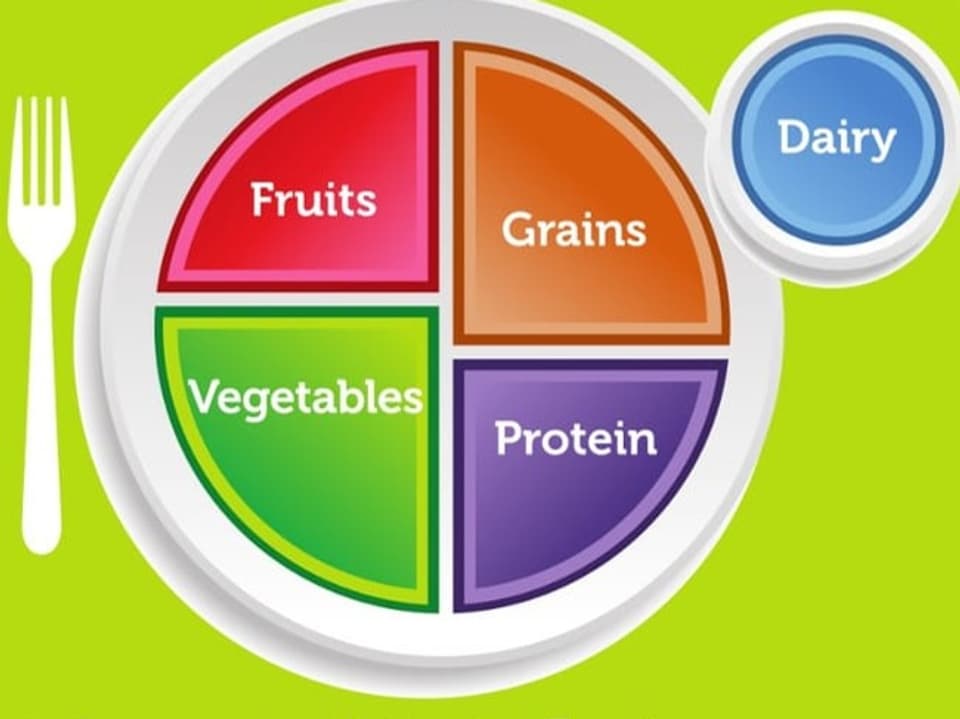 Teller mit Lebensmittelgruppen Obst, Gemüse, Getreide, Eiweiss und Milchprodukte.