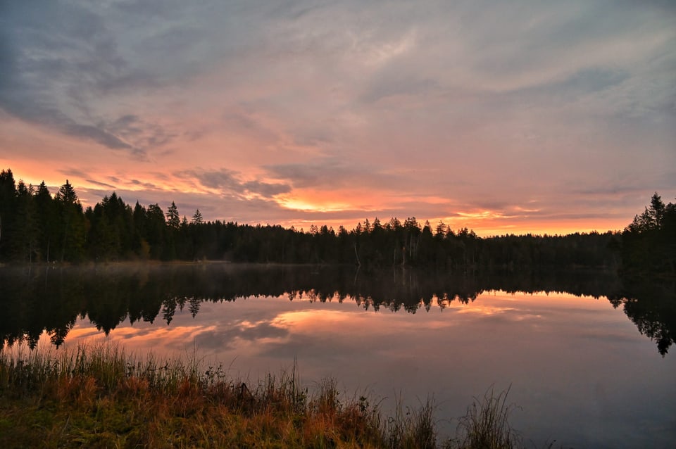 See umgeben von Wald, dazu rosa Himmel