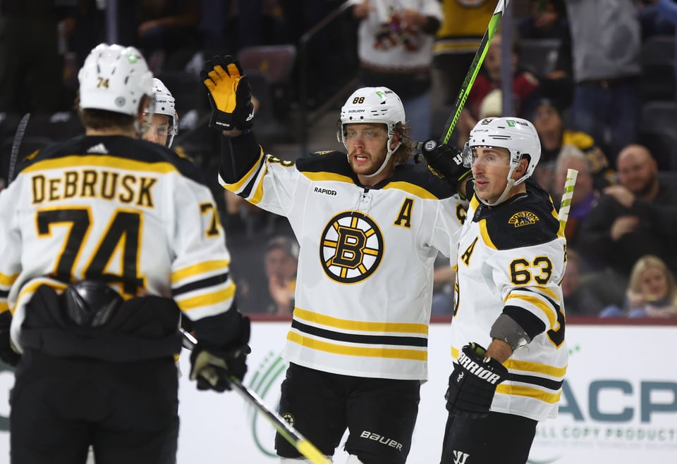 Die Boston Bruins jubeln