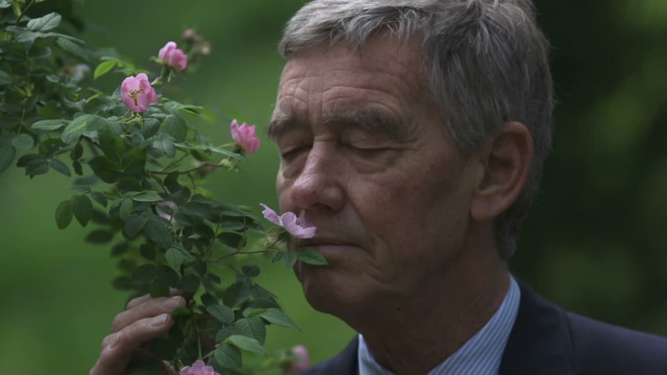 Biologe und Zellphysiologe Hans Hut steht bei einer Blumenblüte und atmet den Geruch mit seiner Nase ein. 