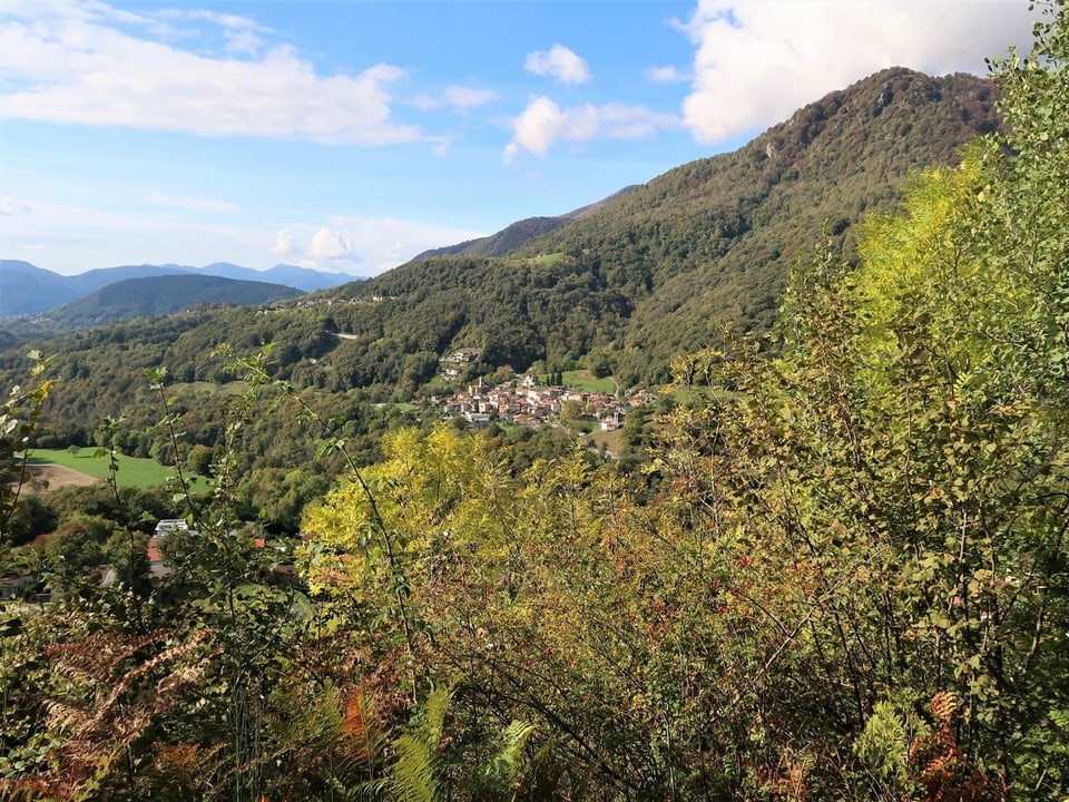 Buchen und Kastanienwald im Malcantone.