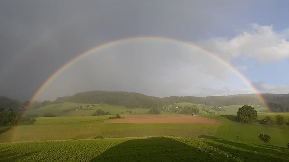 Regenbogen über grüner Landschaft mit Feldern und Hügeln.