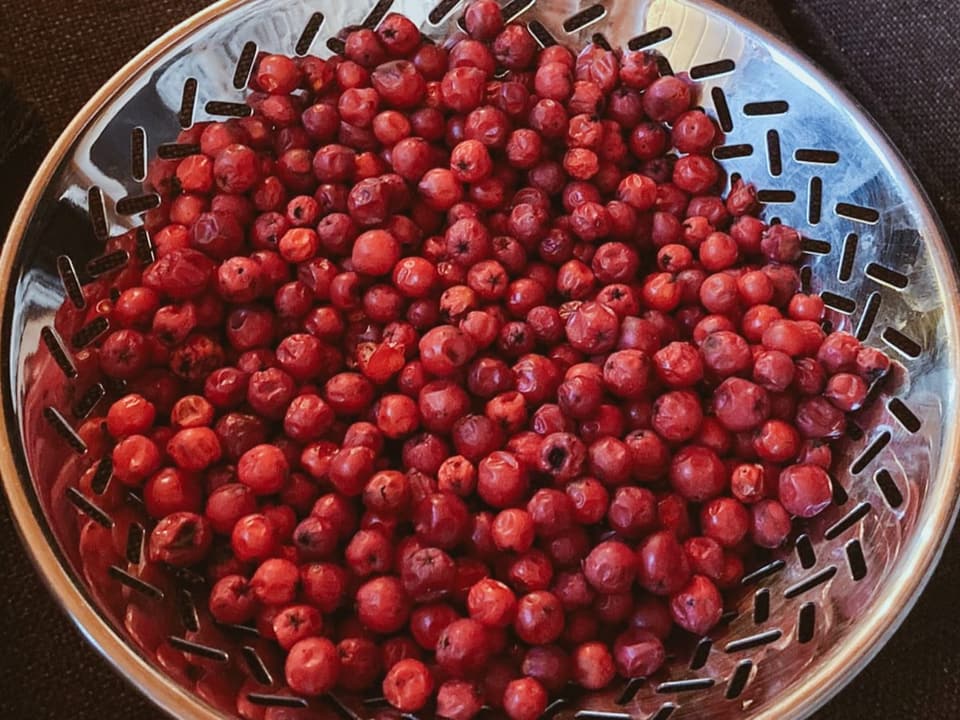 Beim Sammeln von Vogelbeeren kommt man schnell vorwärts.