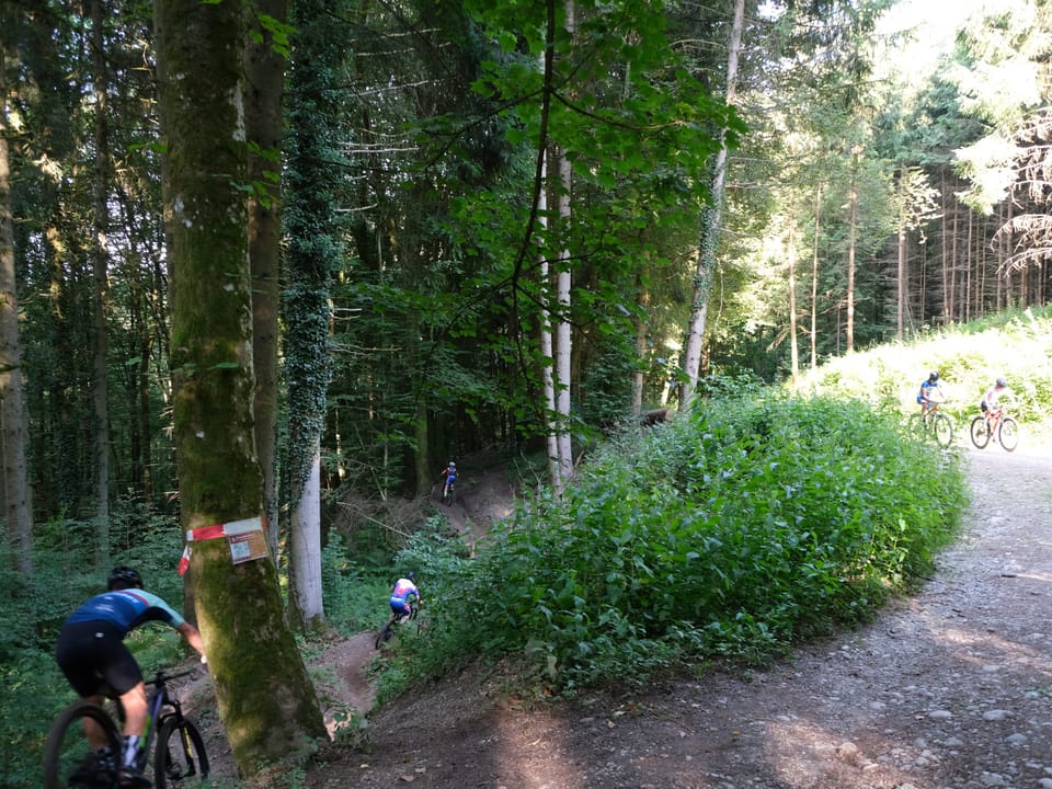 Mountainbiker auf einem Waldweg.