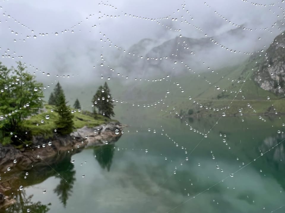 See in den Bergen mit Spinnennetz und Regentropfen im Vordergrund.