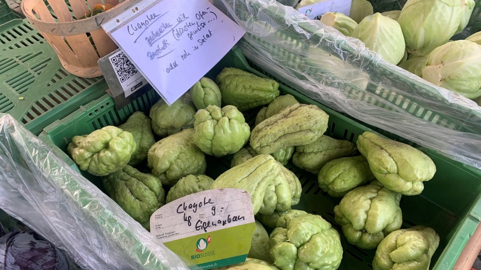 Chayote in einer Kiste werden an einem Stand angeboten.