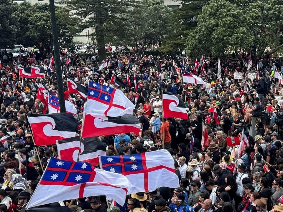 Menschenmenge bei einer Demonstration mit vielen Fahnen.