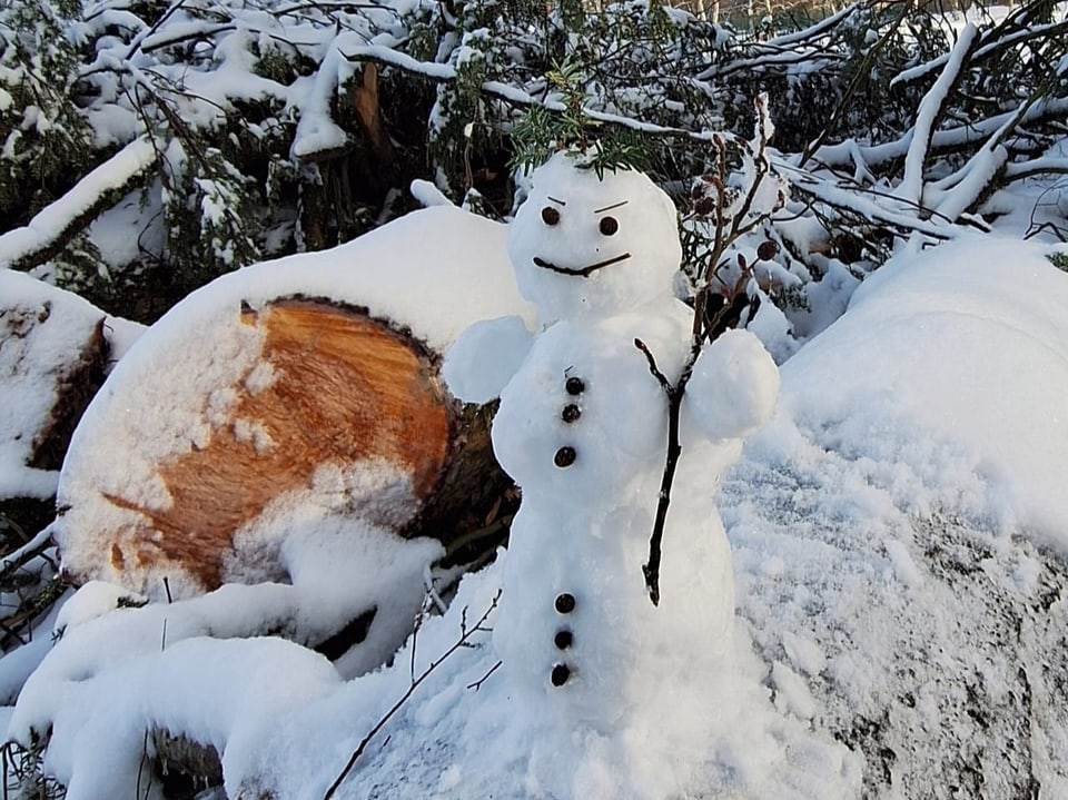 Schneemann im Wald.