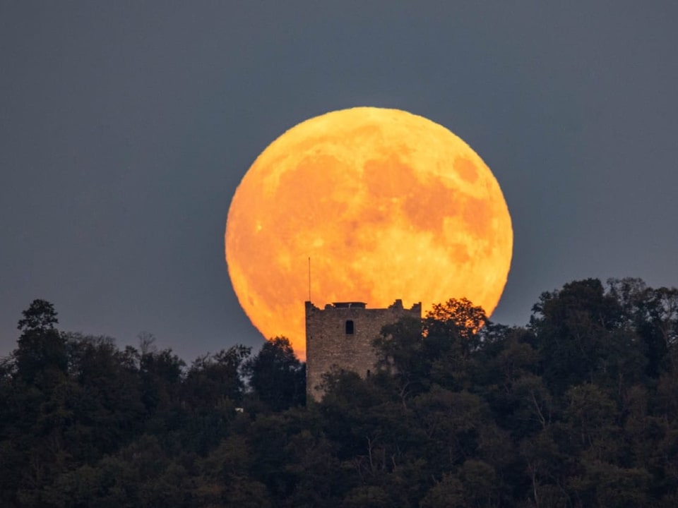 Der Mond wirkt äusserst gross