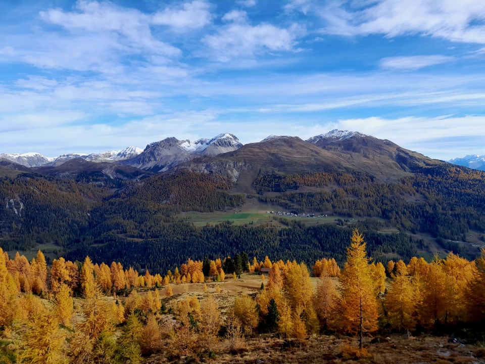 Herbstlandschaft mit Bergen und herbstlichen Bäumen.