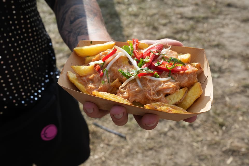 Person hält Essen in Schale mit Pommes und Fleisch.