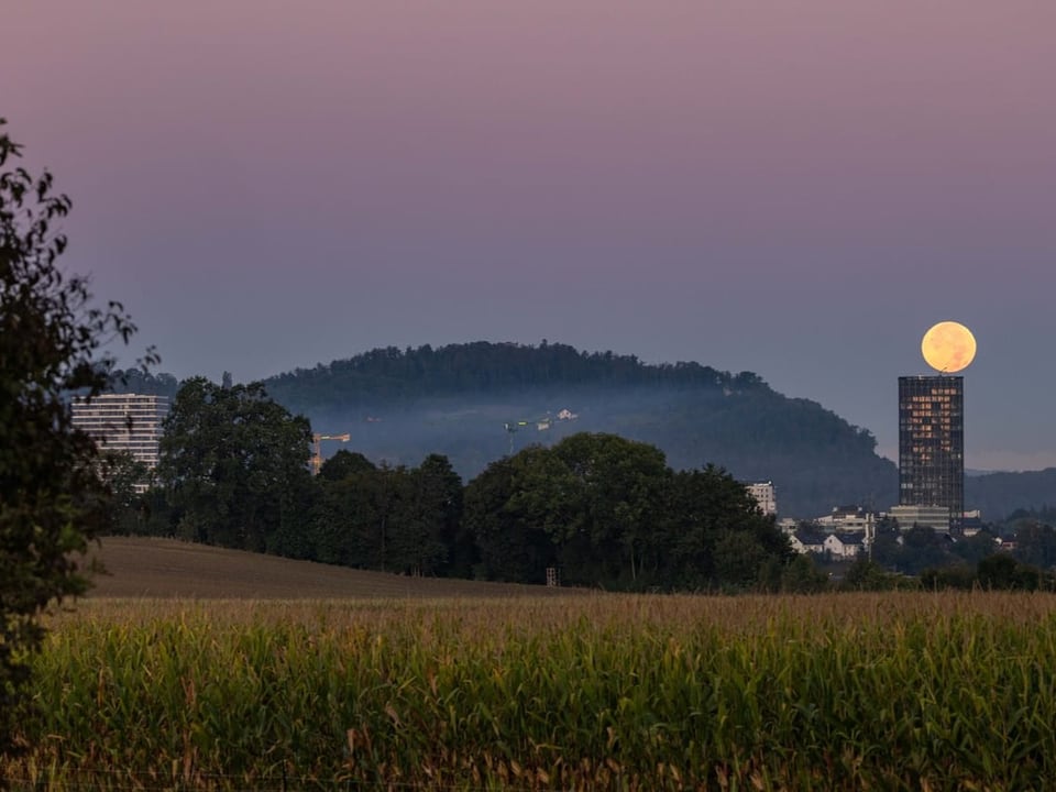 Monduntergang hinter einem bewaldeten Hügel und modernen Gebäuden