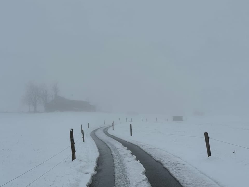 Schnee und Nebel