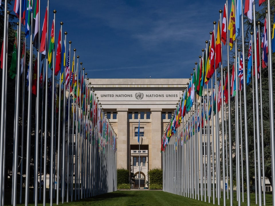 Blick auf das UNO-Gebäude durch eine Allee mit Länderflaggen.