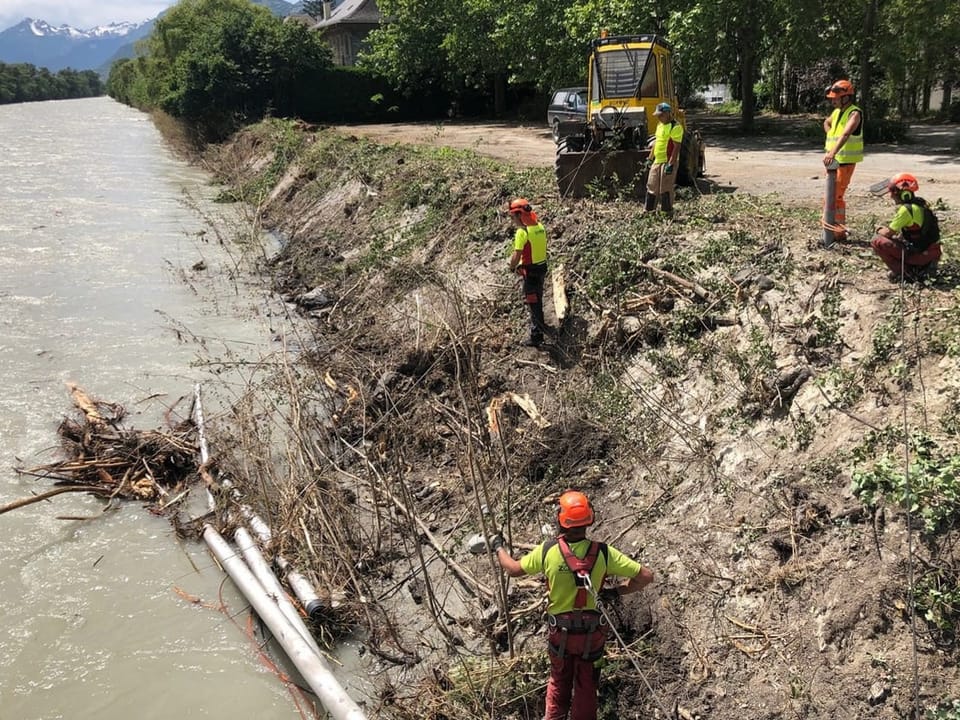 Arbeiter ziehen mithilfe eines Traktors Bäume und Äste aus der Rhone.